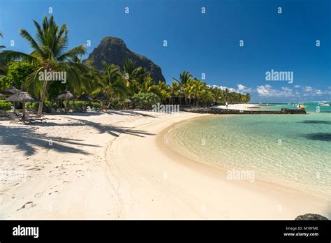 Beach with palm trees,mountain Le Morne Brabant in the background,peninsula Le Morne,Black River ...