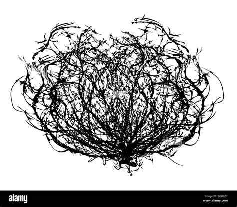 Tumbleweed Line Drawing Stock Photo - Alamy