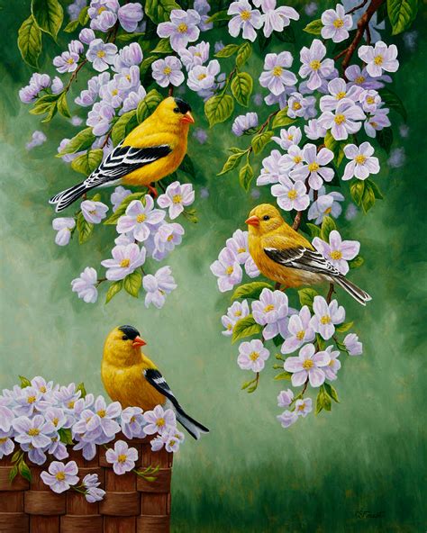 Bird Painting - American Goldfinches And Apple Blossoms by Crista Forest | Bird paintings on ...