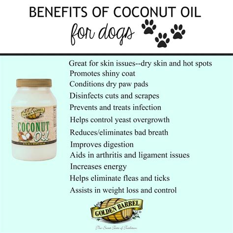 Coconut Oil For Dogs Skin - change comin