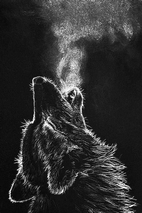 Dark Wolf Wallpapers Phone - Wolf Background Images