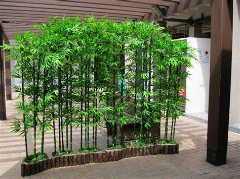 10 Bamboo Garden Ideas, Most of the Awesome and Lovely | Bamboo landscape, Easy backyard ...