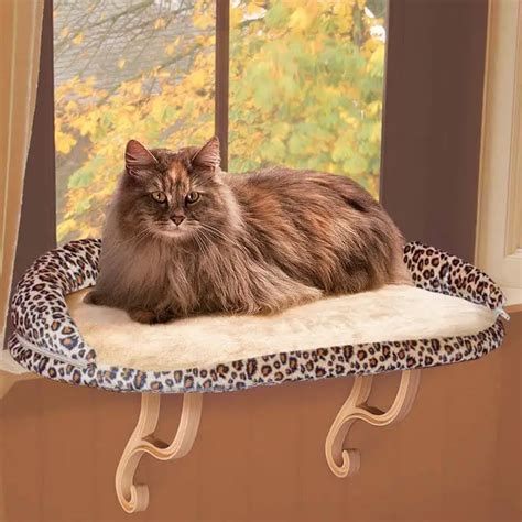 Pawslife Deluxe Window Cat Perch – Pet Brilliant.com