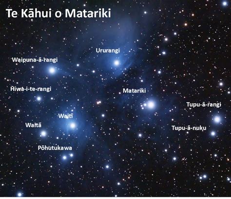 Pūrākau Poto: Matariki | Aotearoa New Zealand Festival of the Arts