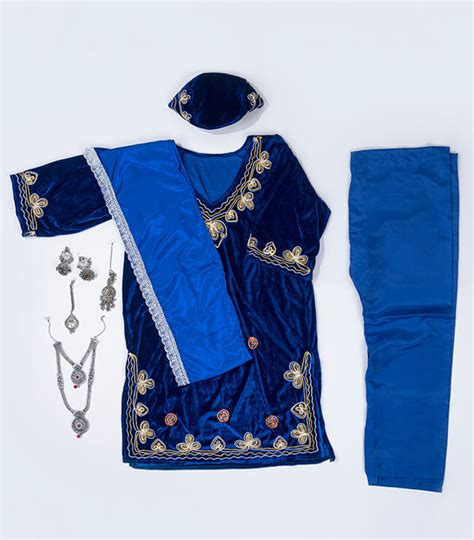 Kashmiri Girl Costume – kulturebox