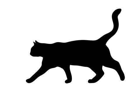 Cat Walking Black Silhouette Free Stock Photo - Public Domain Pictures