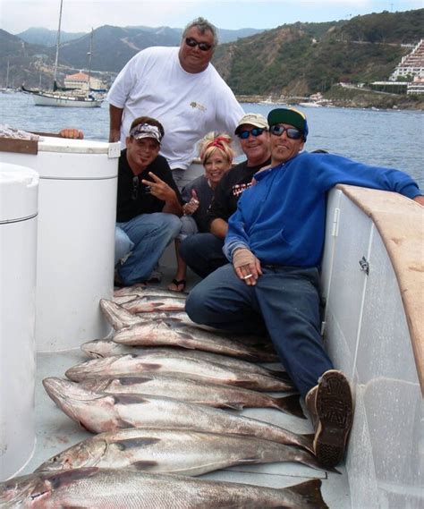 Catalina White Sea Bass fishing at it's finest | Bloodydecks