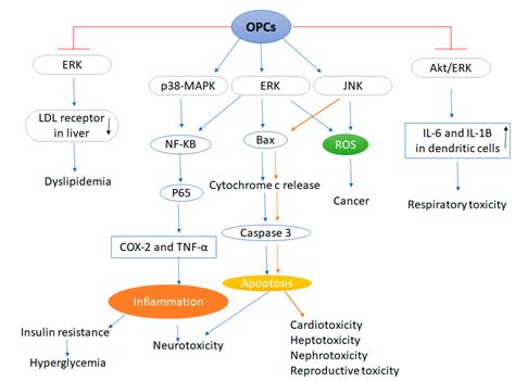 IJMS | Free Full-Text | Organophosphorus Compounds and MAPK Signaling Pathways