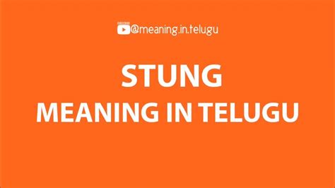 Stung meaning in telugu #Stung #meaningintelugu #telugumeaning @meaning.in.telugu - YouTube