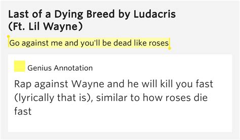 Go against me and you'll be dead like roses – Last of a Dying Breed Lyrics Meaning