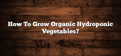 How To Grow Organic Hydroponic Vegetables? - Inter Culturalu