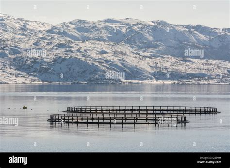 Salmon fish farming, oppdrett, lakseoppdrett Stock Photo - Alamy