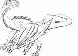 Wyvern Coloring Pages sketch template