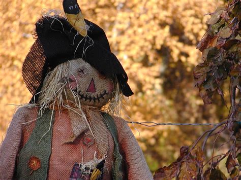 Fall Scarecrow, photo file, #1514642 - FreeImages.com