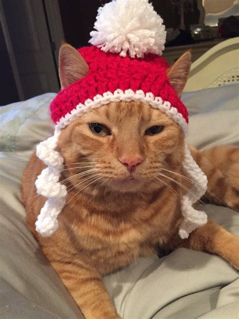 9 Cats Wearing Ridiculous Christmas Hats