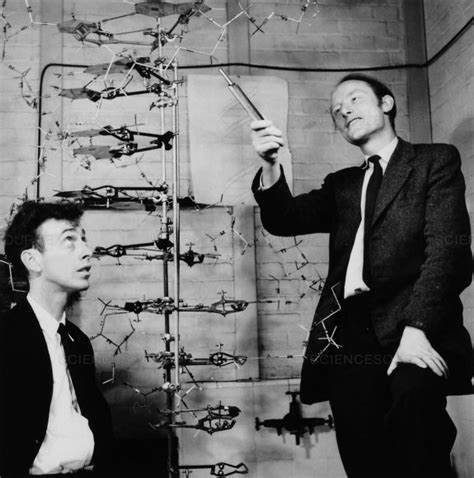 Watson and Crick: The Discovery of the DNA Structure – StMU Research Scholars