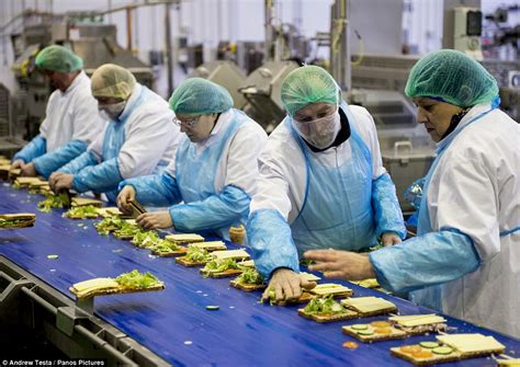 Greencore factory's migrant workers churn out THREE MILLION sandwiches ...