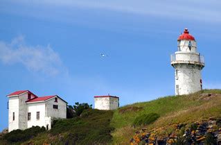 Taiaroa Head Lighthouse Otago Peninsula | As you make your w… | Flickr
