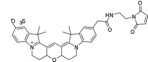 Cy3,马来酰亚胺_西安百萤生物科技有限公司