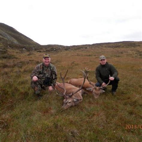 Red deer stag hunts in Scotland | Hunt red deer stags in Scotland