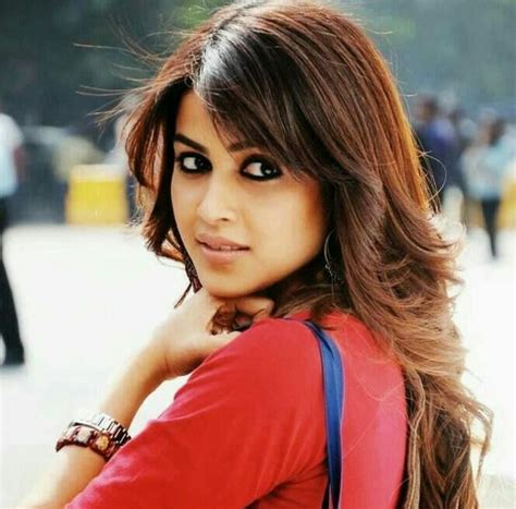 Genelia D'Souza (Force) Most Beautiful Bollywood Actress, Beautiful Actresses, Indian Actresses ...