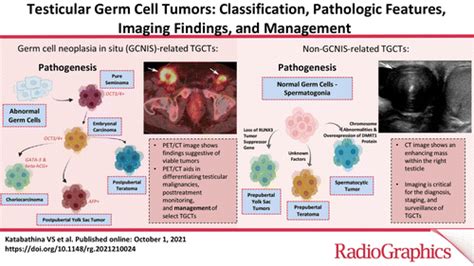 Testicular Germ Cell Tumors: Classification, Pathologic Features ...