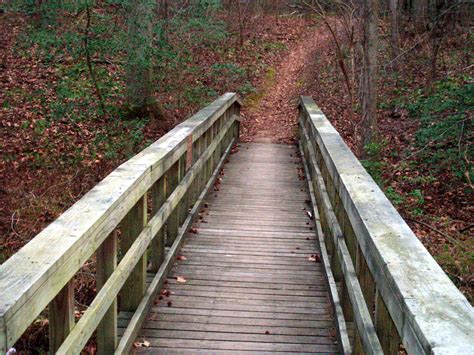 Wooden Bike Trail Bridge Free Stock Photo - Public Domain Pictures