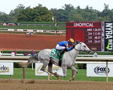 White Abarrio - Horse Profile - BloodHorse