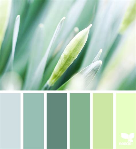 Color Nature | Green color schemes, Green colour palette, Bedroom ...