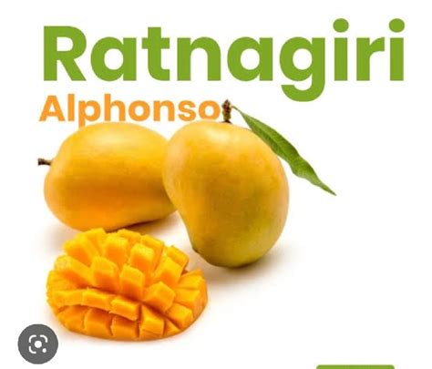 Ratnagiri Alphonso mangoes, Style : Fresh - R.k Enterprise, Ratnagiri ...