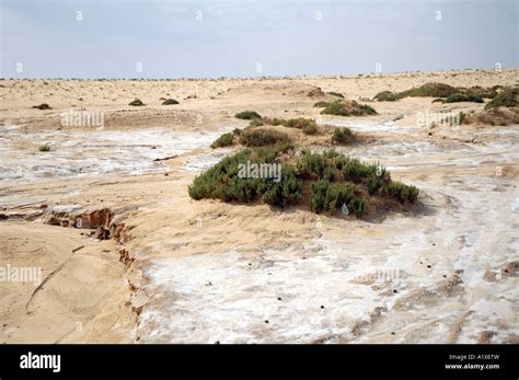 Sahara desert in Tunisia Stock Photo - Alamy