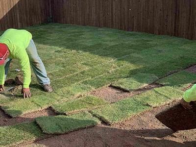 Zoysia Grass Install DFW Better Lawns