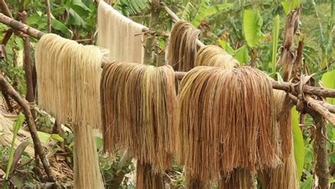 type of plant fiber for weaving | Natural fibers, Plant fibres, Textiles