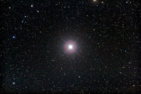 Pollux: The brighter twin star | Brightest Stars | EarthSky