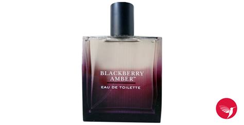 Blackberry Amber Bath and Body Works perfume - a fragrance for women 2007