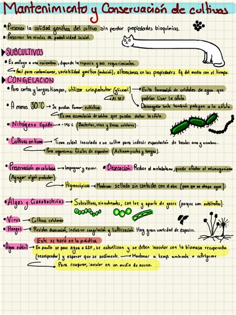 Microbiología Industrial | PDF | Naturaleza | Biología