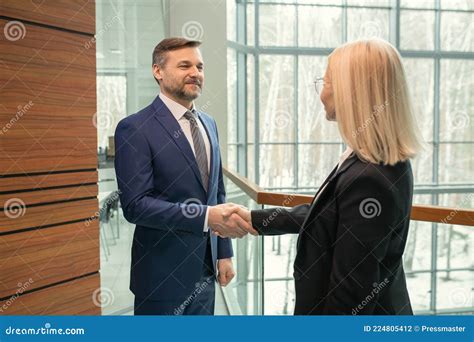 Business People Shaking Hands at Office Stock Photo - Image of shaking, standing: 224805412