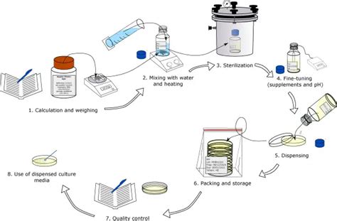 Best Practices for Preparation of Culture Media • Microbe Online