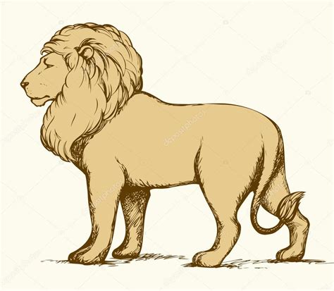 Lion Drawing Side View