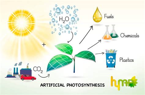 Artificial Photosynthesis As A Renewable Energy Source