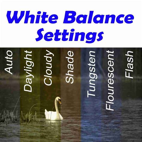 Everything You Need to Know About When and How to Creatively Use White ...