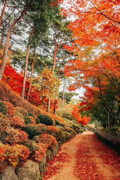 The Geek Travels: Autumn in Seoul, South Korea