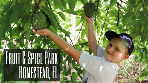 Fruit & Spice Park: 40 Acres of The Best Tropical Treats, Part 1 - YouTube