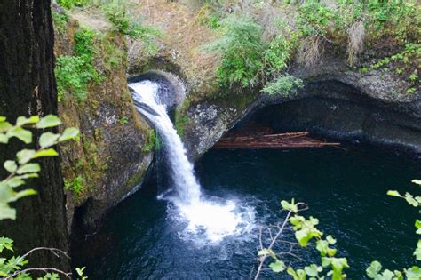 File:Punch Bowl Falls, Eagle Creek Trail.jpg - Hiking in Portland ...