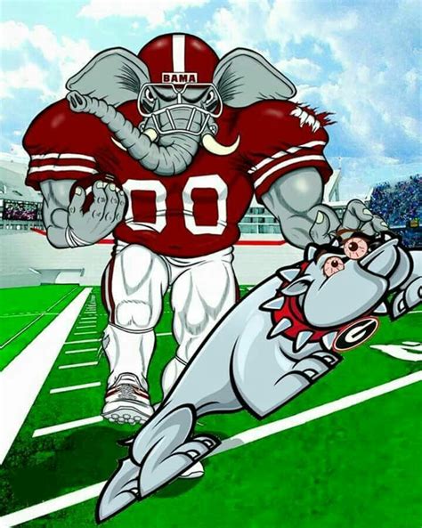 BeAt Georgia | Alabama football funny, Roll tide funny, Football funny