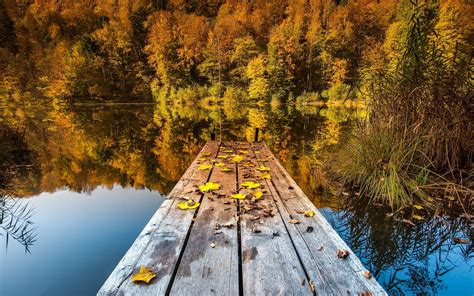 Autumn lake Wallpapers | Pictures | Autumn lake, Fall facebook cover ...