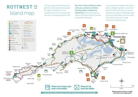 The Best Rottnest Island Day Trip Itinerary - Schuck Yes