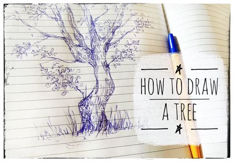 How to Draw Trees in nature - Skillmapper