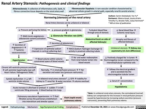 Renal Artery Stenosis: Pathogenesis and clinical findings | Calgary Guide