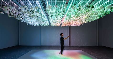 This immersive exhibit uses your senses to change its reality — Future ...